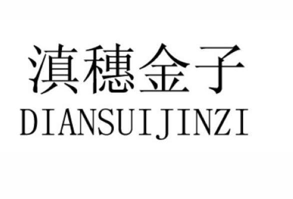 滇穗金子
