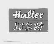 好尔特   HALTER