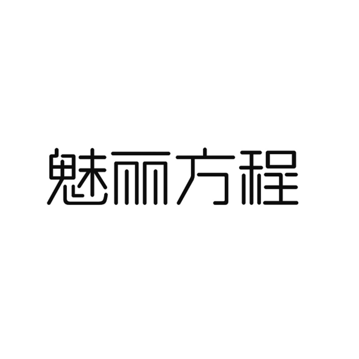 魅丽方程