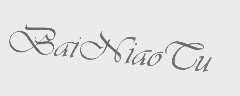 BAI NIAO TU