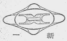 一新