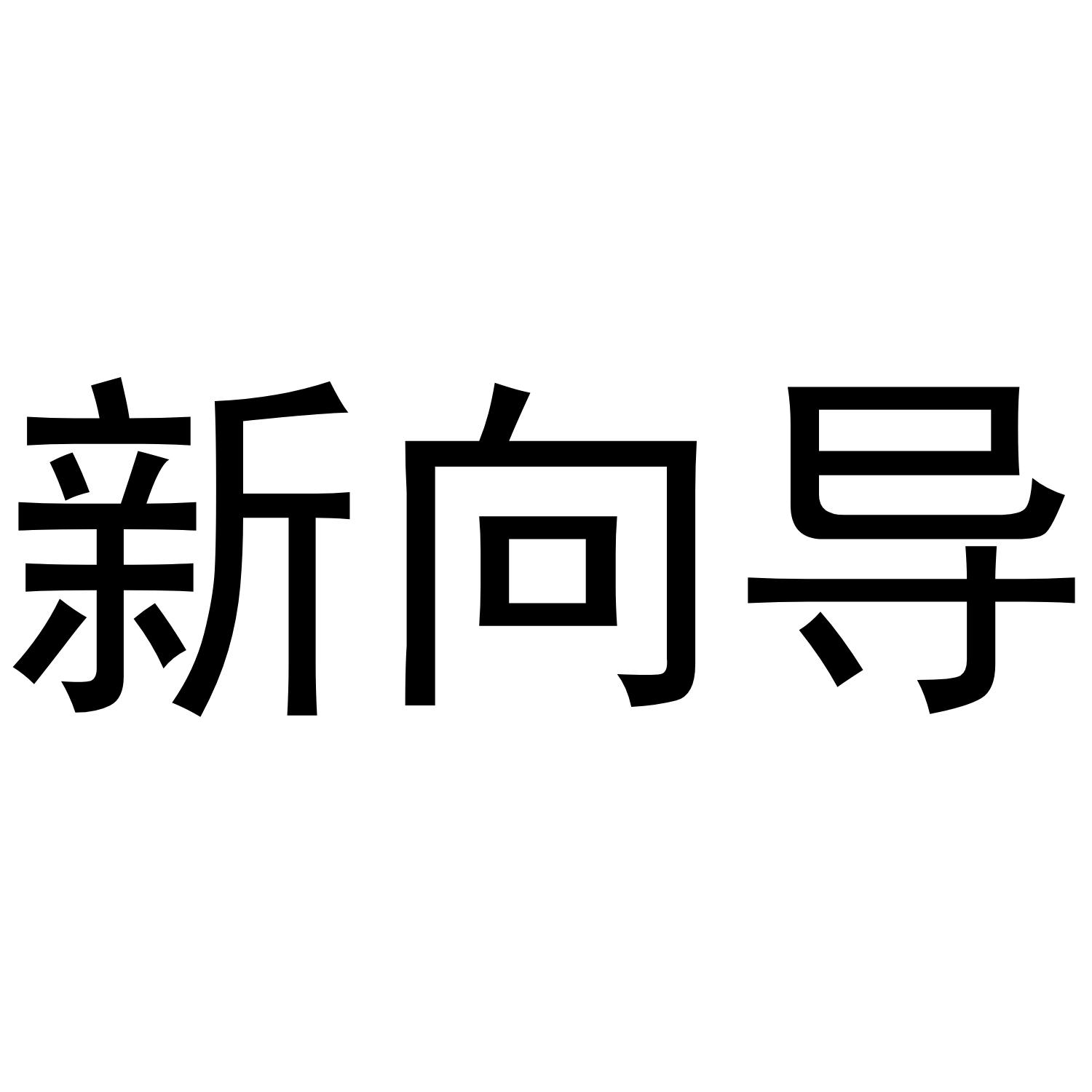 新向导