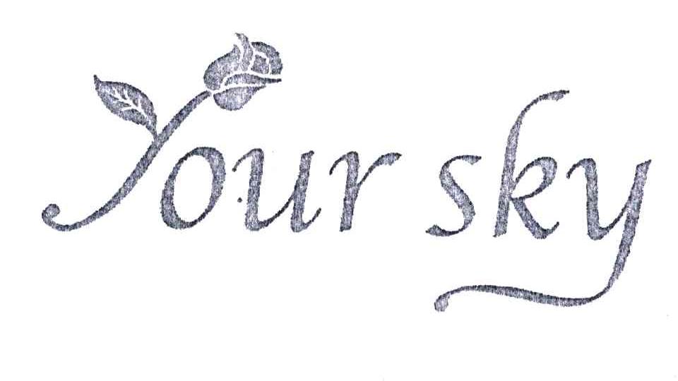 YOUR SKY