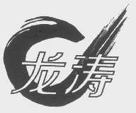 龙涛