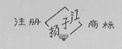 杨子江