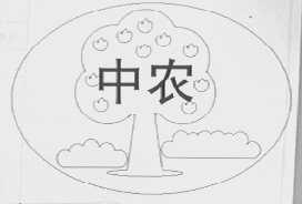 中农