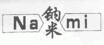 钠米