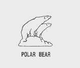 POLAR BEAR