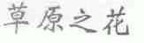 草原之花
