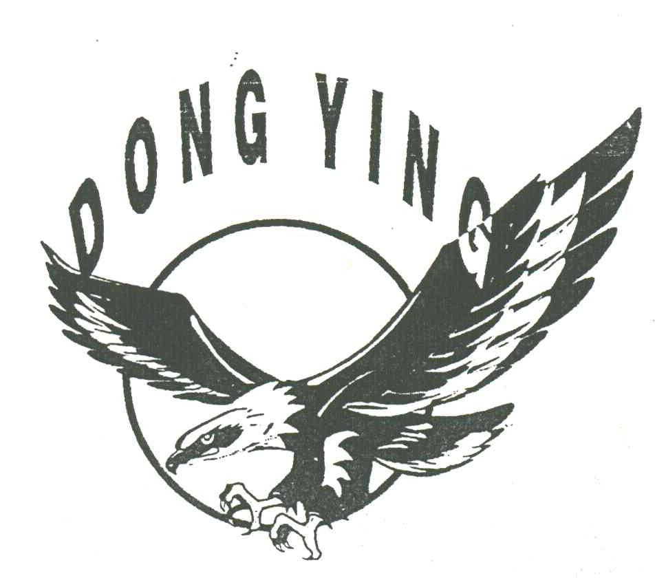 DONG YING