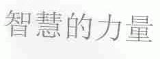 智慧的力量