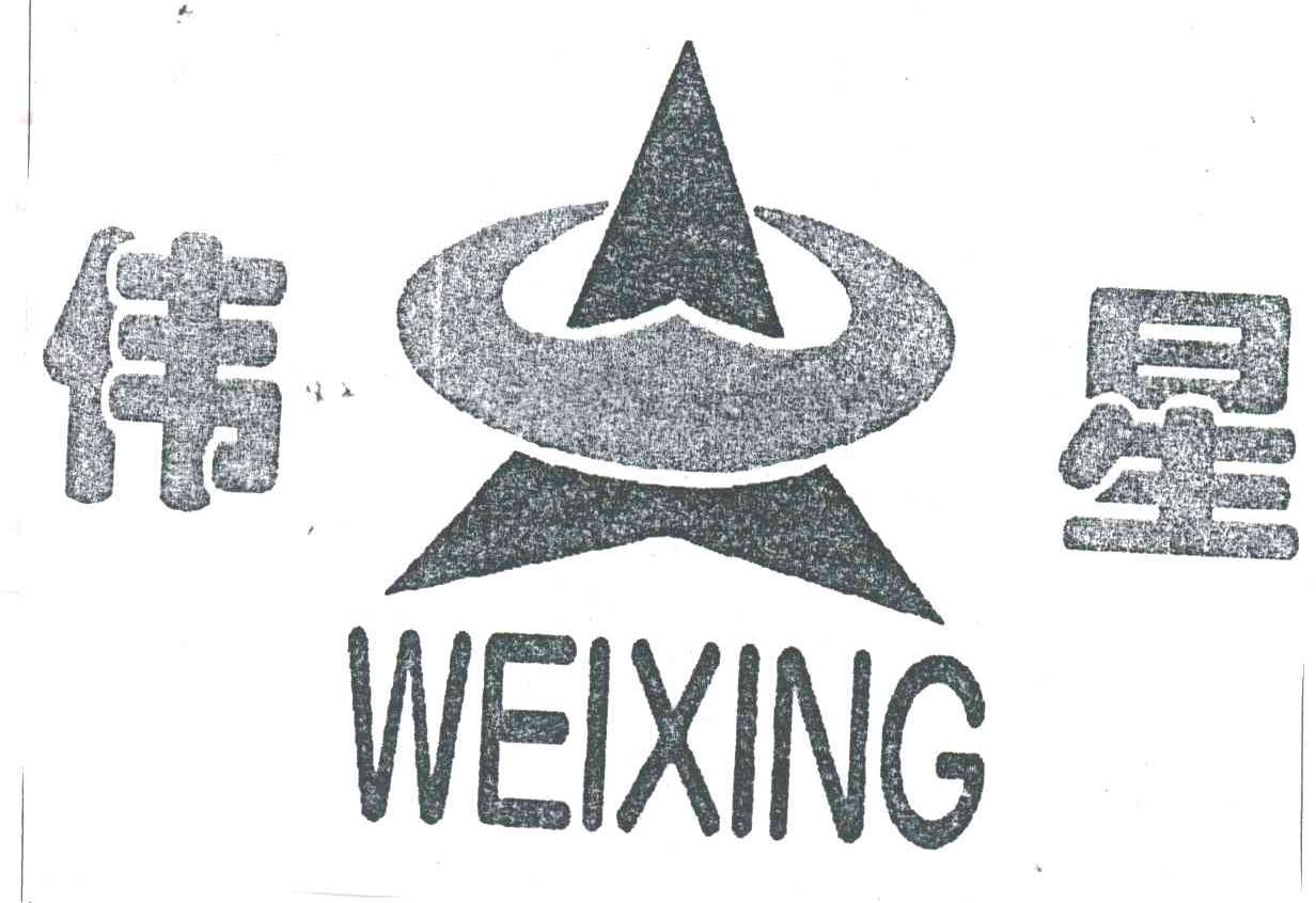 伟星;WEI XING