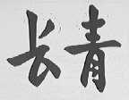 长青