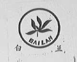 白兰