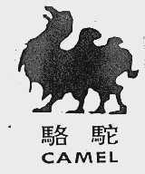 骆驼 CAMEL