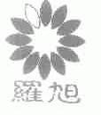 罗旭