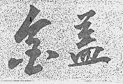 金盖
