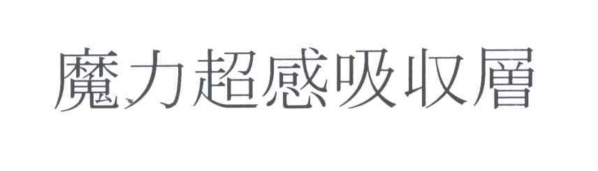 魔力超感吸收层