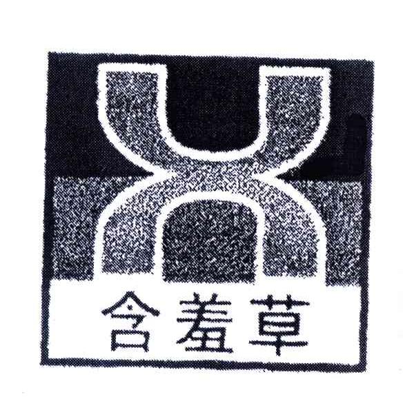 含羞草