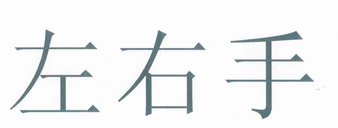 左右手