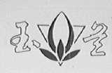 玉兰