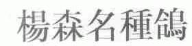 杨森名种鸽