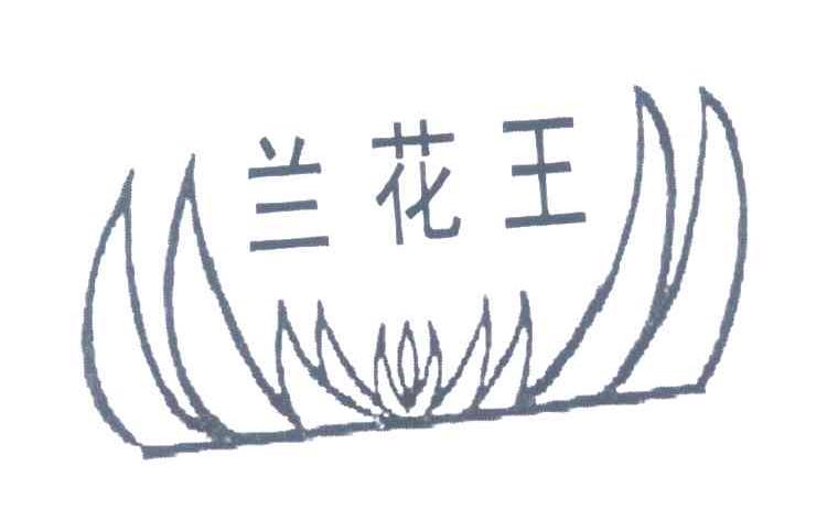 兰花王