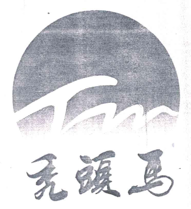 秃头马;TM
