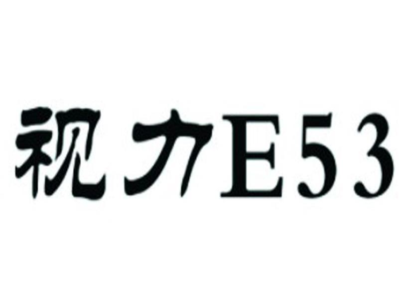 视力E53