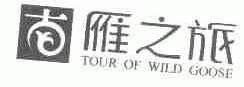 雁之旅  TOVR OF WILD GOOSE