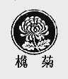 榄菊