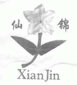 仙锦