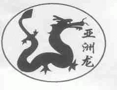 亚洲龙