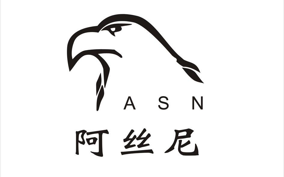 阿丝尼 ASN