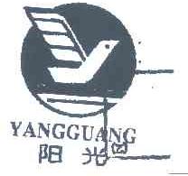 阳光
