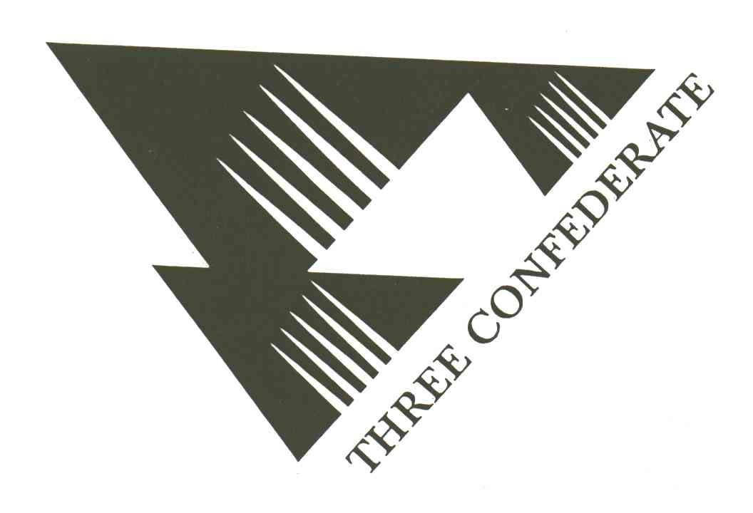 THREE CONFEDERATE