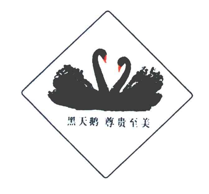 黑天鹅尊贵至美