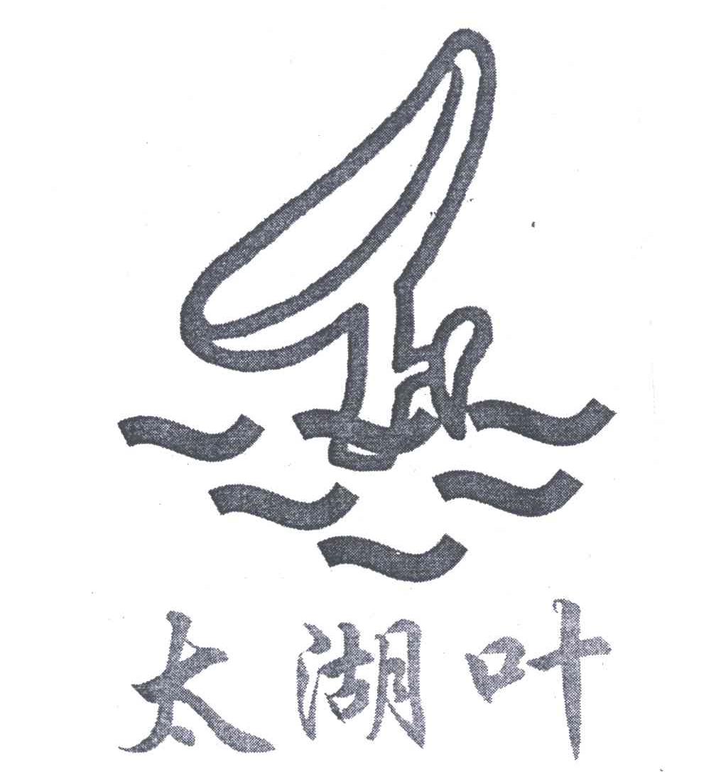 太湖叶