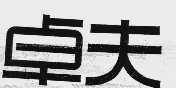 卓夫