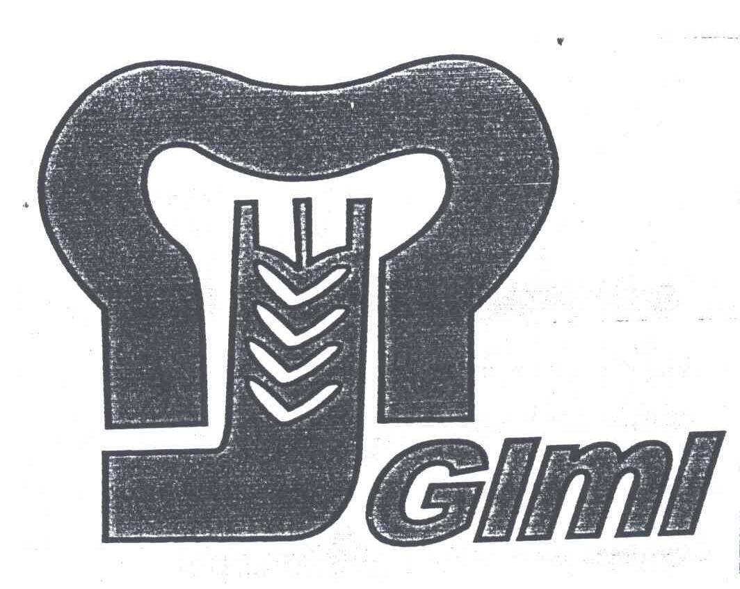 GIMI