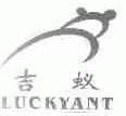 吉蚁;LUCKYANT