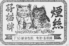 仔猫