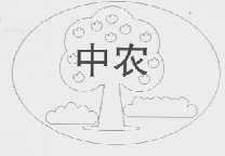 中农