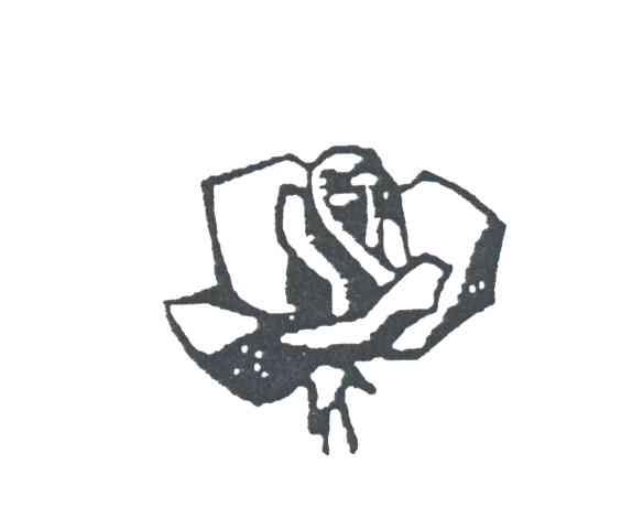 图形