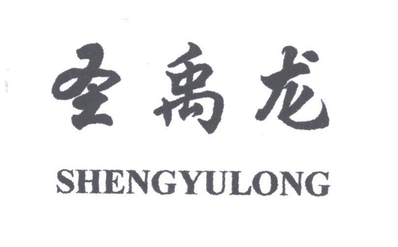 圣禹龙