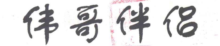 伟哥伴侣
