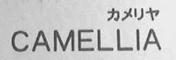 CAMELLIA
