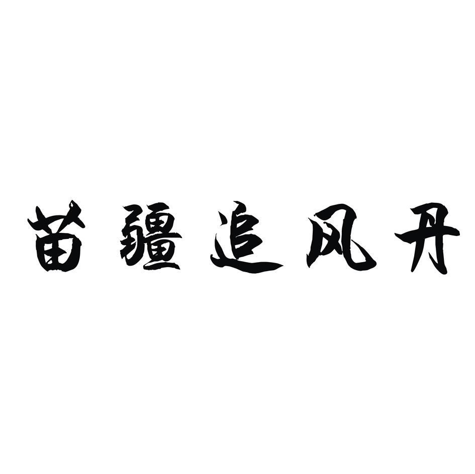 苗疆追风丹