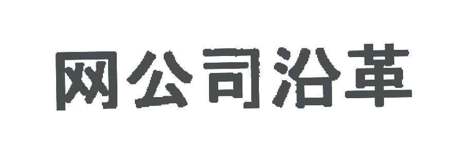 网公司沿革