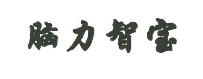 脑力智宝